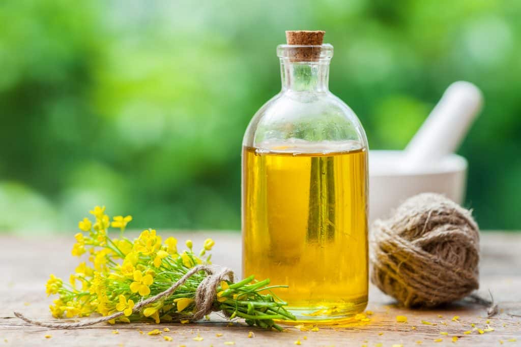 Light & Healthy Canola Oil