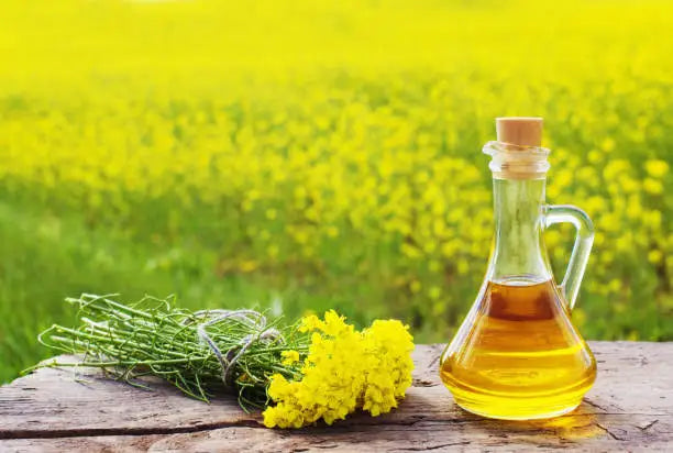 Golden Mustard Oil
